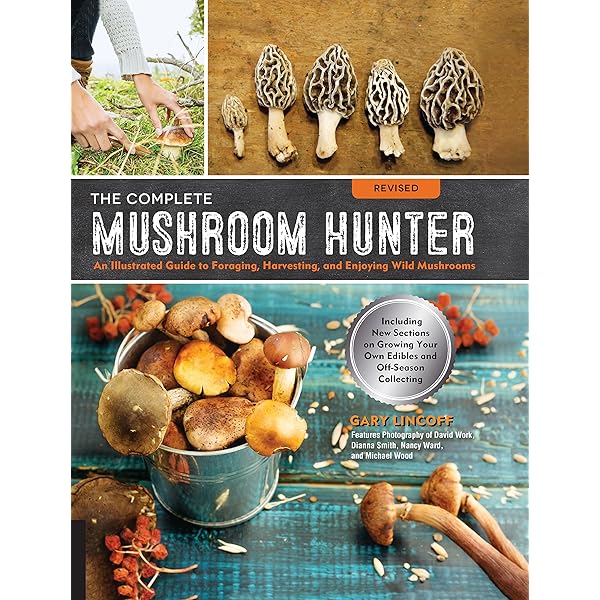 洋書 Mushrooms 81MUKOXBY0L._UF350,350_QL80_.jpg